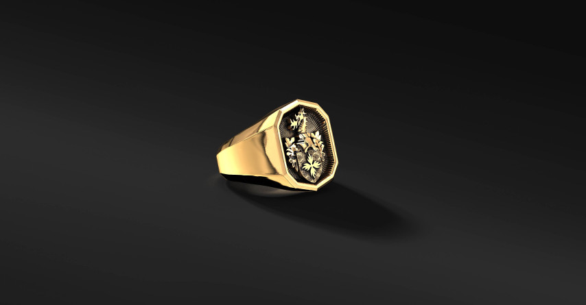Sygnet Rodowy z Herbem na zamówienie | Enigma Jubiler