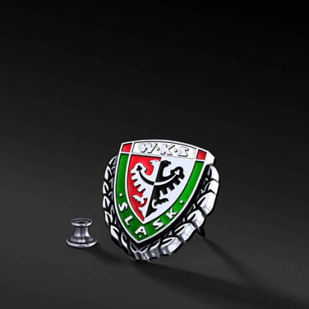 Wpinka WKS Color Polar Bronze | Enigma Jubiler