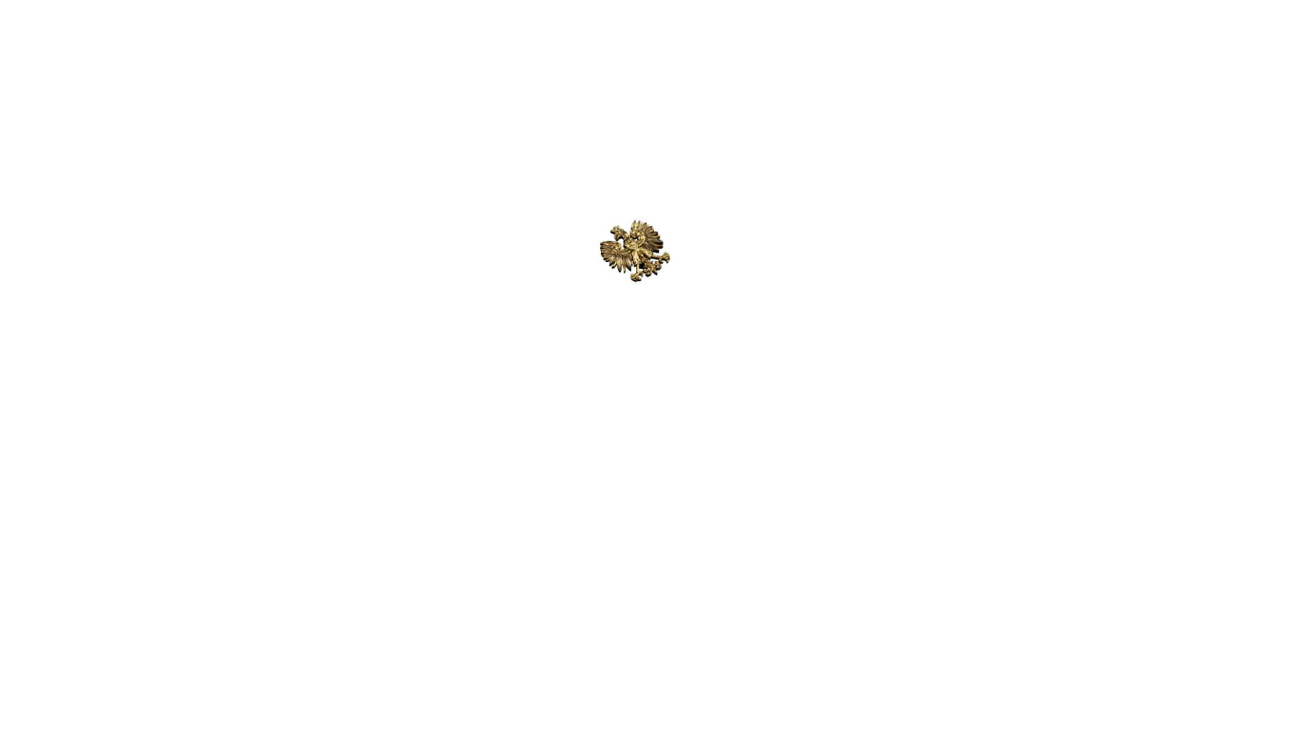 parametry podsumowanie symbol id_godlo_pl
