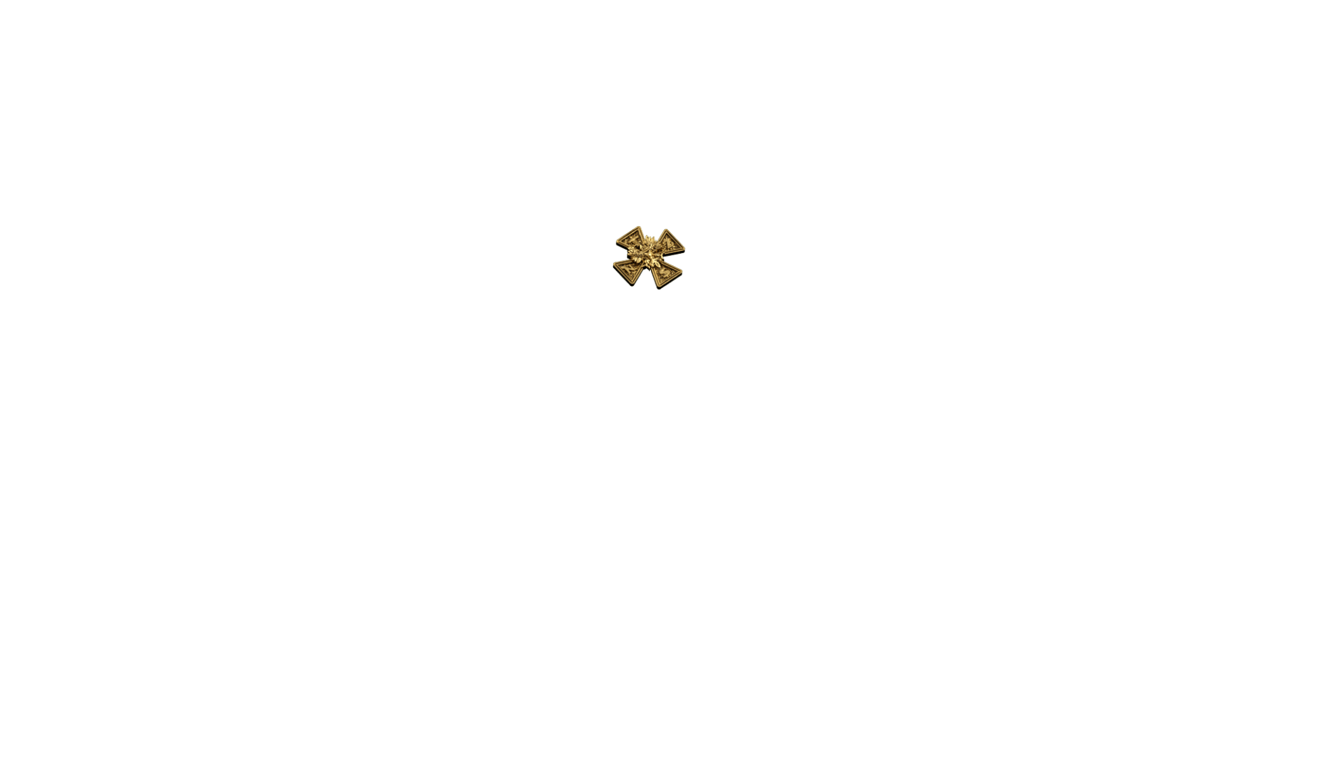 parametry podsumowanie symbol id_nsz