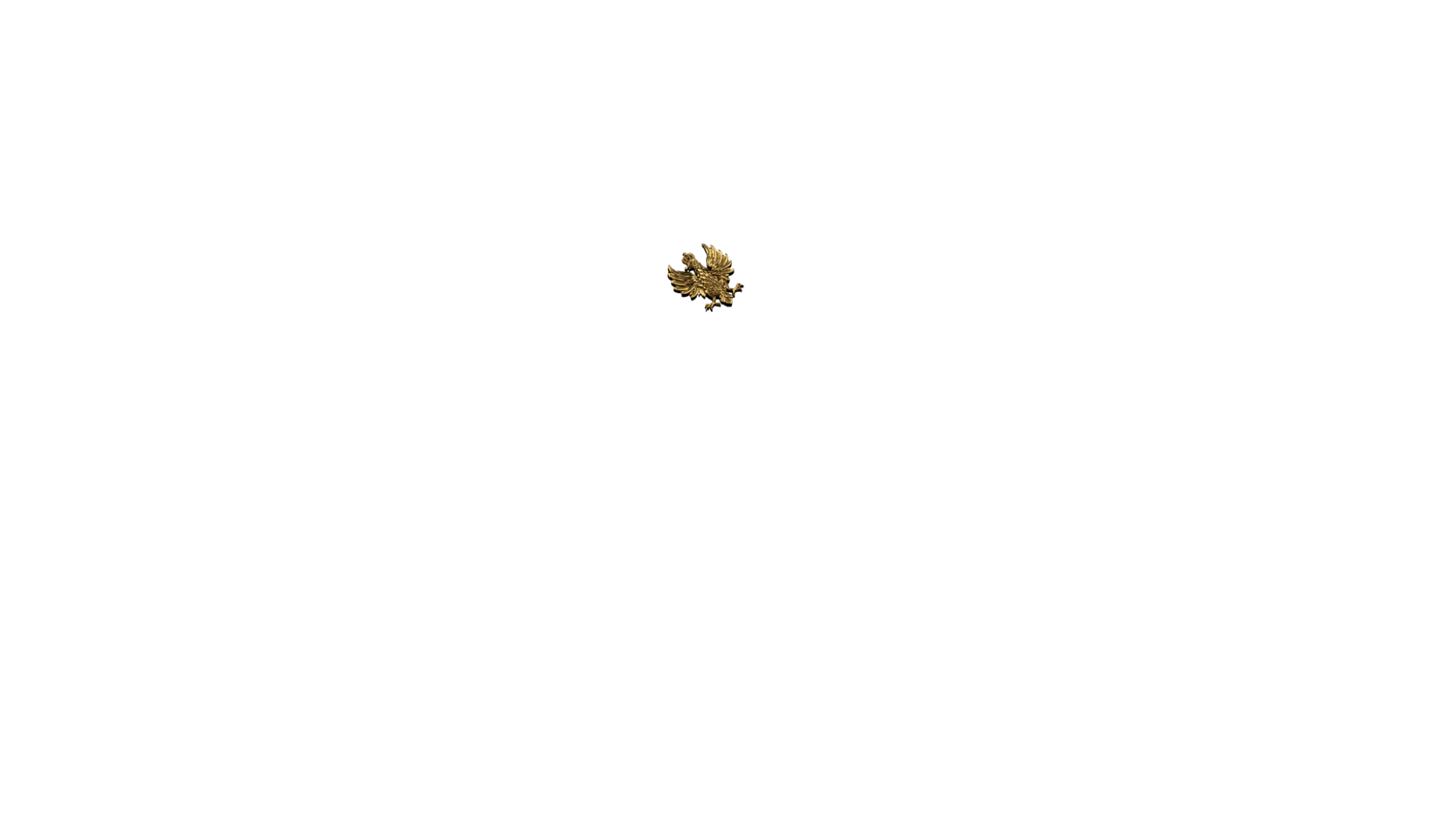 parametry podsumowanie symbol id_iirp