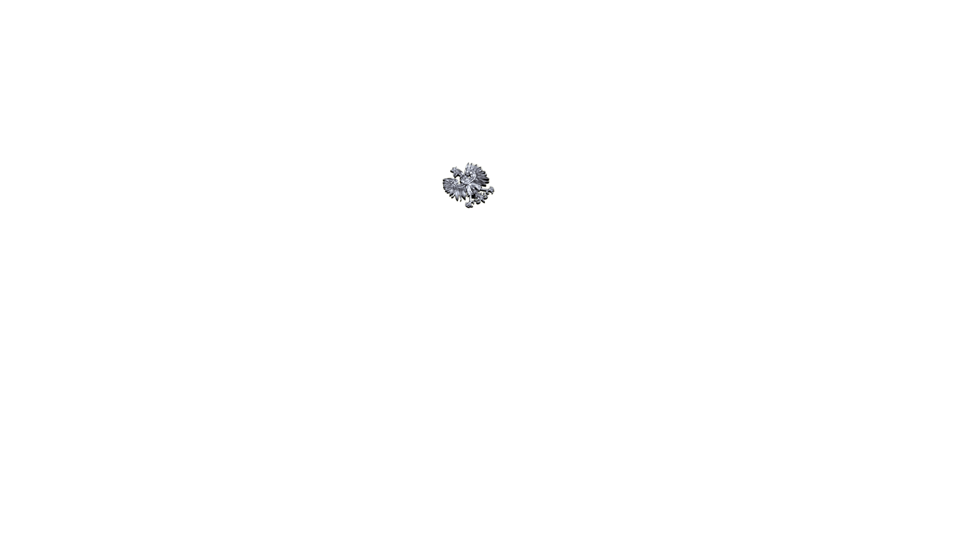 parametry podsumowanie symbol id_godlo_pl