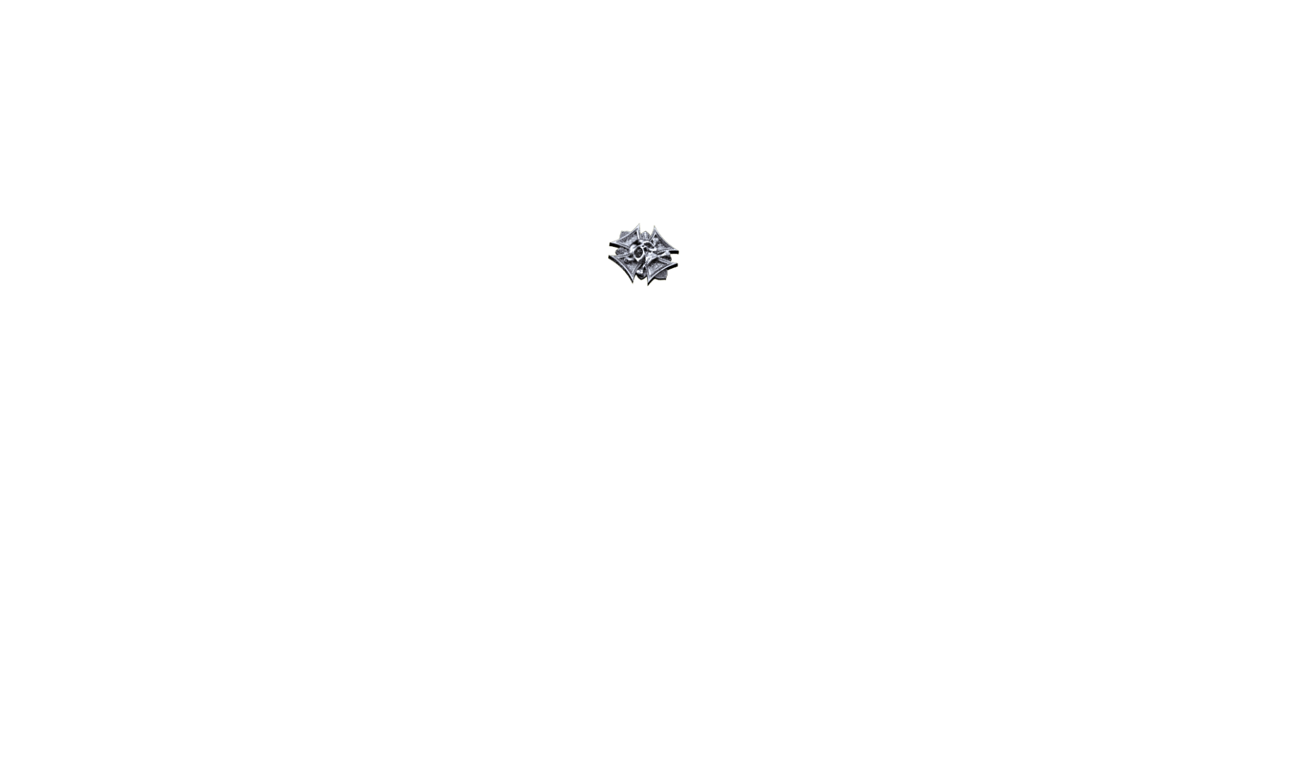 parametry podsumowanie symbol id_huzarzy