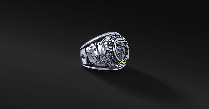 Pierścień Wojsk Obrony Cyberprzestrzeni