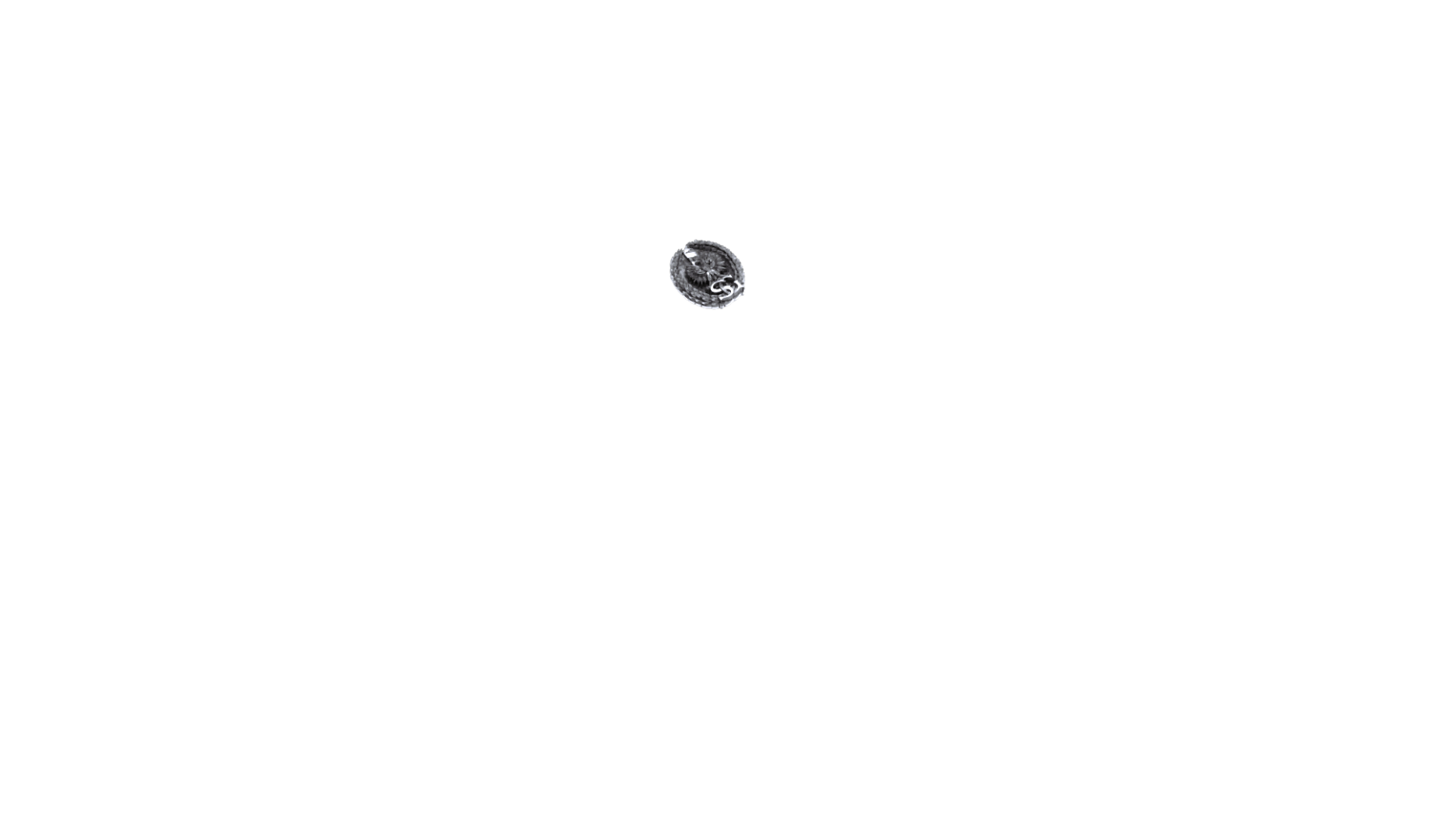 parametry podsumowanie symbol id_sg